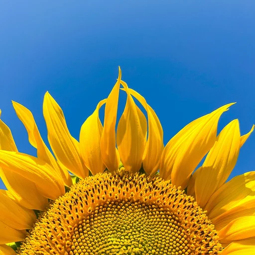 壹号娱乐博彩牌照